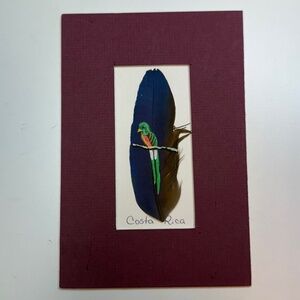 Hand Painted Parrot on Real Feather Costa Rica Tropical Bird Art Painting